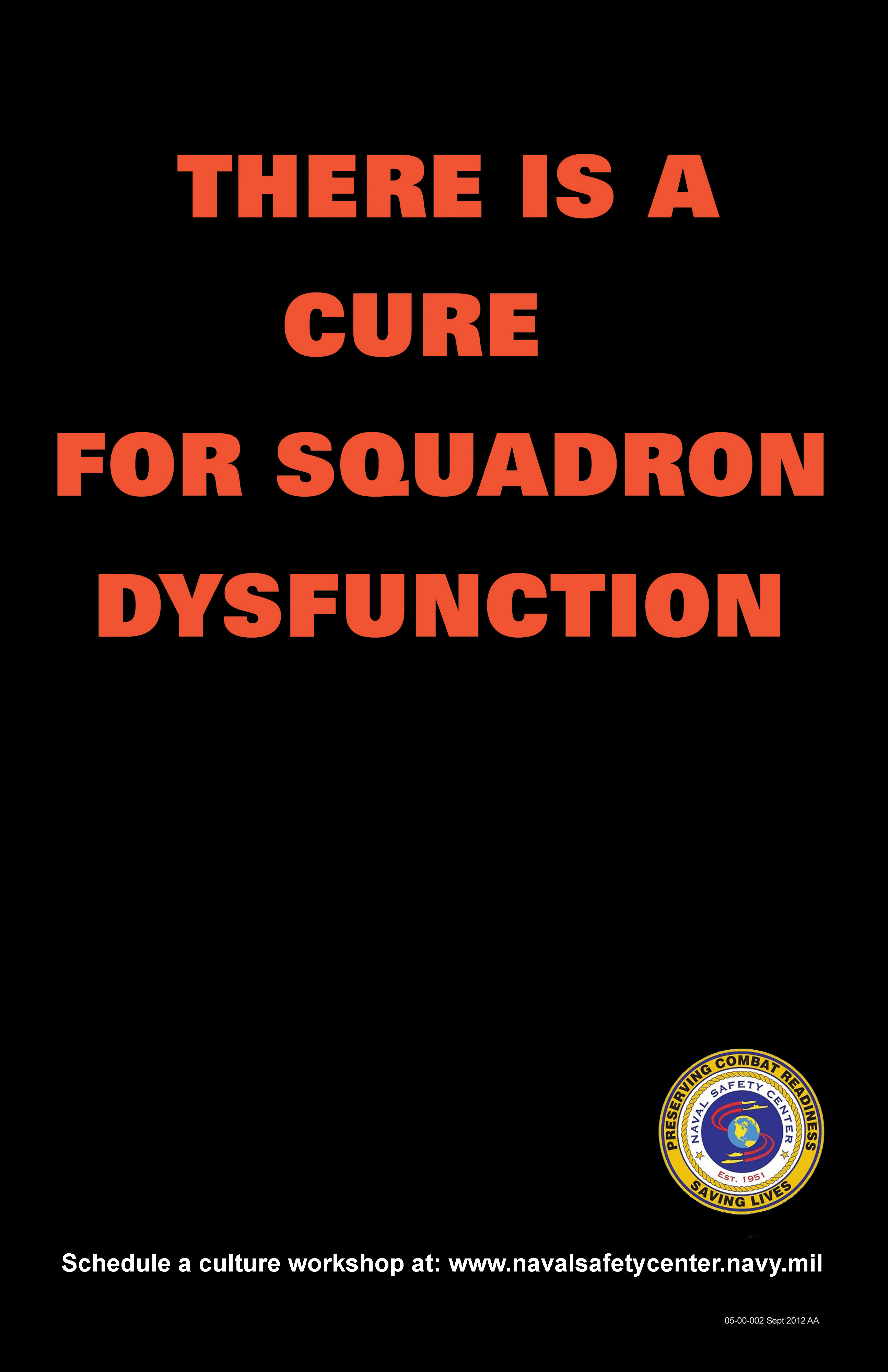 Squadron Dysfunction Poster